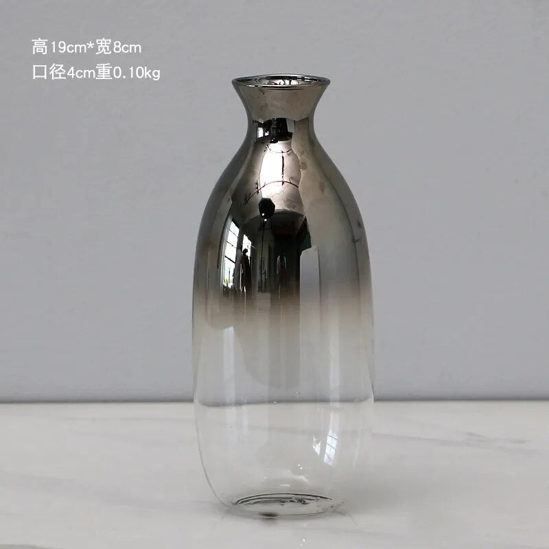 Vaso decorativo moderno para planta de vidro