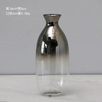 Vaso decorativo moderno para planta de vidro